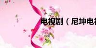 電視劇(尼坤電視劇)