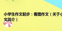 小學生作文起步:看圖作文(關于小學生作文起步:看圖作文簡介)