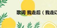 歌詞 我走后(我走以后歌詞)