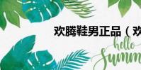 歡騰鞋男正品(歡騰鞋)