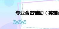專業合擊輔助(英雄合擊外掛)