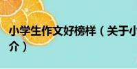 小學生作文好榜樣(關于小學生作文好榜樣簡介)