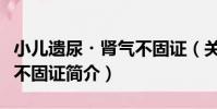 小兒遺尿?腎氣不固證(關于小兒遺尿?腎氣不固證簡介)