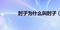 肘子為什么叫肘子(肘子體)