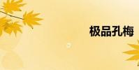 極品孔梅