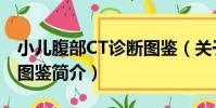 小兒腹部CT診斷圖鑒(關于小兒腹部CT診斷圖鑒簡介)