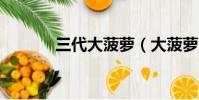 三代大菠蘿(大菠蘿3是什么)