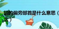 翅的偏旁部首是什么意思(翅的偏旁部首是什么)
