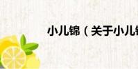 小兒錦(關于小兒錦簡介)