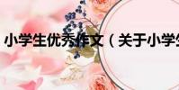 小學生優秀作文(關于小學生優秀作文簡介)
