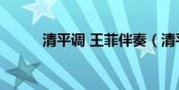 清平調 王菲伴奏(清平調 王菲)