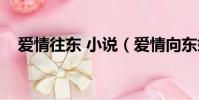 愛情往東 小說(愛情向東婚姻向西小說)