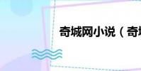 奇城網小說(奇城網)