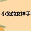 小兔的女神手記（關于小兔的女神手記簡介）