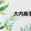大內高手歌詞（大內低手主題曲）