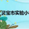 靈寶市實驗小學老師名單（靈寶市實驗小學）