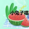 小兔子福福（關于小兔子福福簡介）