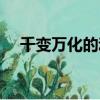 千變萬化的動物是誰（千變萬化的動物）