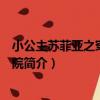 小公主蘇菲亞之穿越星學院（關于小公主蘇菲亞之穿越星學院簡介）