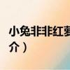 小兔非非紅蘿卜篇（關于小兔非非紅蘿卜篇簡介）