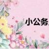 小公務員（關于小公務員簡介）