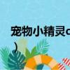 寵物小精靈dp日語中字（寵物小精靈dp粵語）