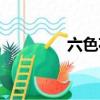 六色花是什么花（六色花）