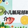 小兒骶尾部畸胎瘤（關于小兒骶尾部畸胎瘤簡介）