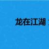 龍在江湖 太子哥（龍太子 我即江湖）