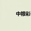 中糧彩云居物業（中糧彩云居）