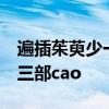 遍插茱萸少一人的遍是什么意思a量詞幾遍第三部cao