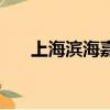 上海濱海嘉年華（海濱嘉年華太美了）