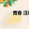 青春 汪峰 酷我音樂（青春 汪峰）