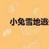 小兔雪地逃生（關于小兔雪地逃生簡介）