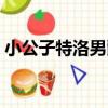 小公子特洛男爵（關于小公子特洛男爵簡介）