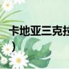 卡地亞三克拉鉆戒多少錢（三克拉鉆戒多少錢）