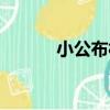 小公布村（關于小公布村簡介）