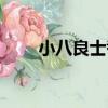 小八良士巷（關于小八良士巷簡介）