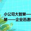 小公司大智慧——企業迅速稱霸的100招（關于小公司大智慧——企業迅速稱霸的100招簡介）