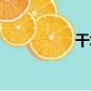 干壩（關于干壩介紹）