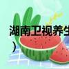 湖南衛視養生節目之面部（湖南衛視養生節目）