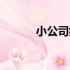 小公司病（關于小公司病簡介）