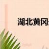 湖北黃岡最新疫情（湖北黃岡武穴）