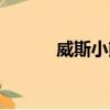 威斯小熊貓香煙（威斯小熊貓）