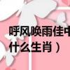 呼風喚雨佳中宮解生肖（呼風喚雨佳中宮是指什么生肖）