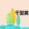 干型黃酒（關于干型黃酒介紹）
