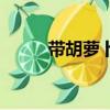 帶胡蘿卜的歌詞（胡蘿卜須歌詞）