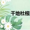 干地杜根藤（關于干地杜根藤介紹）