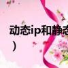 動態ip和靜態ip哪個網速快（動態ip和靜態ip）