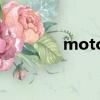motogp q2（moto q11）
